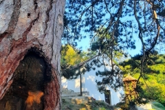 manastir12